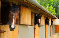 free Clapham Park stable construction quotes
